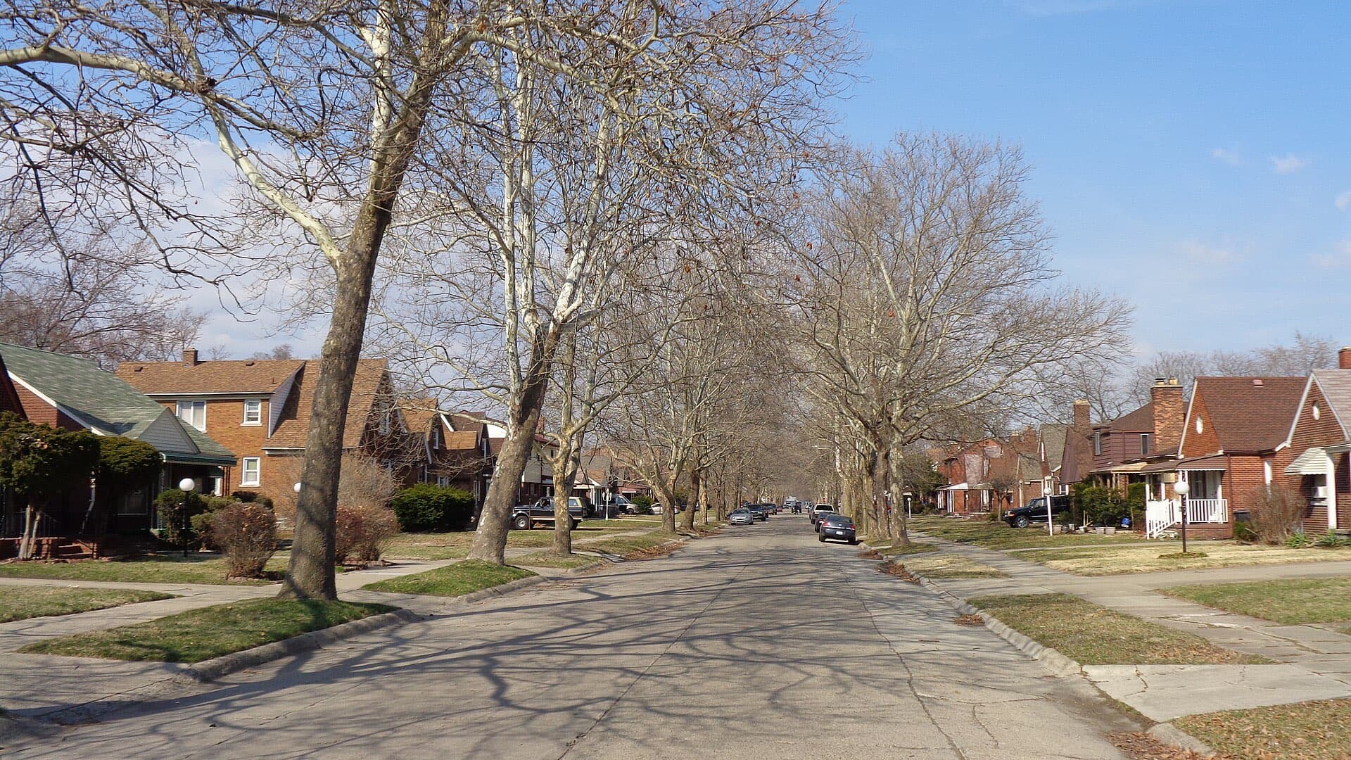 A tree-lined Detroit residential street of brick homes.